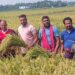 হতদরিদ্র কৃষকের ধান কেটে দিচ্ছেন সোনারগাঁ উপজেলা আওয়ামী লীগ।
