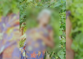 নান্দাইলে সড়ক দুর্ঘটনায় অজ্ঞাত নারী নিহত