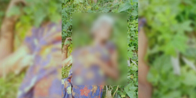 নান্দাইলে সড়ক দুর্ঘটনায় অজ্ঞাত নারী নিহত