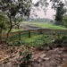 সোনারগাঁয়ে জোরপূর্বক জমি দখলের অভিযোগ