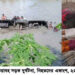 ঝালকাঠিতে ভয়াবহ সড়ক দুর্ঘটনায় নারী ও শিশুসহ নিহত ১৭,আহত ৩০
