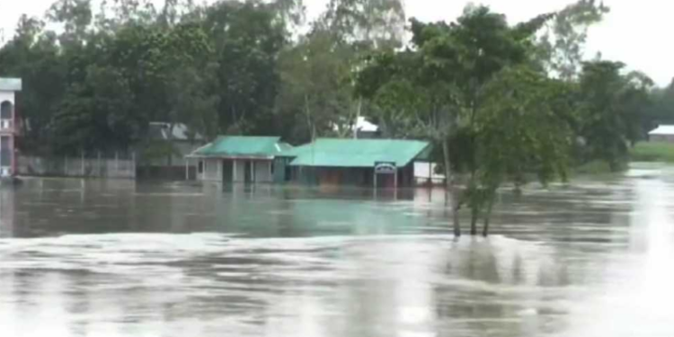জামালপুরে নদ নদীর পানি বৃদ্ধি অব্যাহত,নিম্নাঞ্চল প্লাবিত 