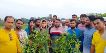 লিজেন্ড ব্যাচ-২০০০ এডমিন দীনার নিজ উদ্যোগে আধা কিলোমিটার রাস্তায় বৃক্ষ রোপণ করলেন