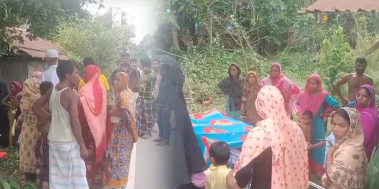 জামালপুরে পৃথকস্থানে বিদ্যুৎপৃষ্ট হয়ে শিশুসহ দুইজনের মৃত্যু