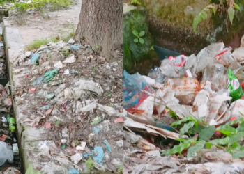 ইসলামী বিশ্ববিদ্যালয়ে প্লাস্টিক   পলিথিনে ভর্তি ড্রেনের বেহাল অবস্থা