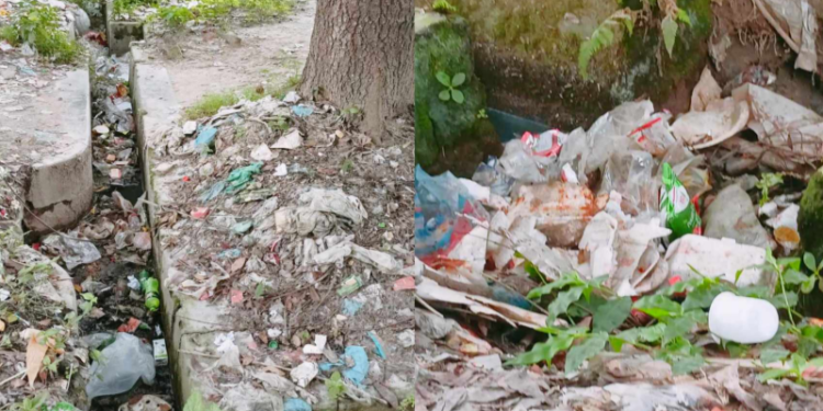 ইসলামী বিশ্ববিদ্যালয়ে প্লাস্টিক   পলিথিনে ভর্তি ড্রেনের বেহাল অবস্থা