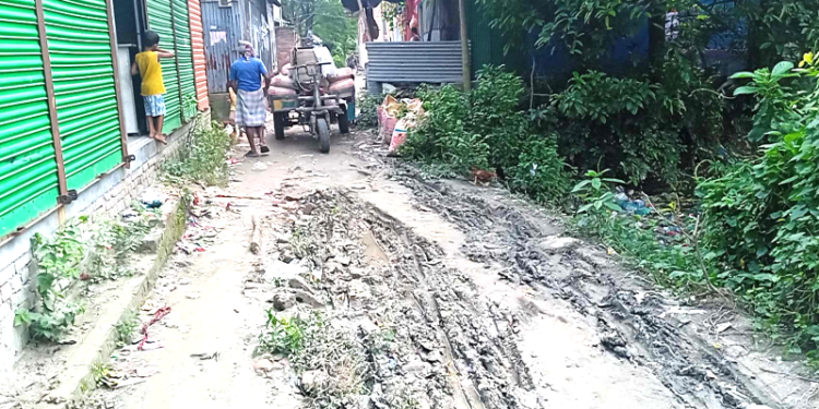 কাঁচপুরে কাশিপুর গ্রামের রাস্তার বেহাল দশা,ভোগান্তিতে এলাকাবাসী