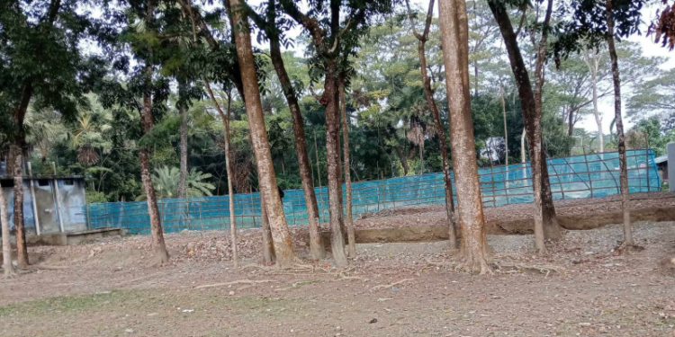 আমতলীতে টেন্ডার ছাড়াই স্কুলের পুরাতন ভবন ভেঙ্গে মালামাল বিক্রি