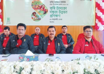 ঝিনাইদহে কৃষি উদ্যোক্তা দক্ষতা উন্নয়ন  প্রশিক্ষণ
