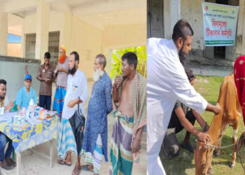 আমতলীতে প্রাণিসম্পদ সেবা সপ্তাহ উপলক্ষে ফ্রি ভেটেরিনারি মেডিকেল ক্যাম্প
