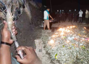 যশোরে ২৬০ কেজি জেলি পুশ করা বাগদা চিংড়ি জব্দ