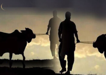 জানা গেল কোরবানি ঈদের সম্ভাব্য তারিখ