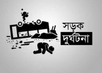 নরসিংদীতে সড়ক দুর্ঘটনায় পিকাপ চালকের মৃত্যু