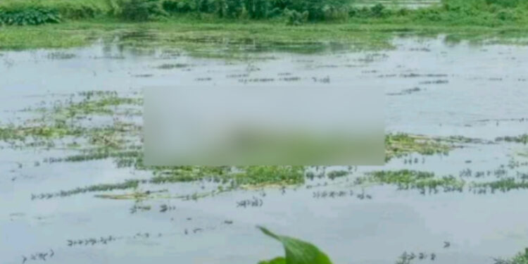 রায়পুরায় নদীতে ভাসছিল অজ্ঞাত মরদেহ,উদ্ধার করল নৌ-পুলিশ