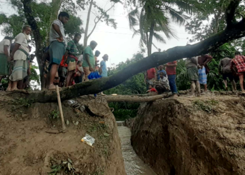 আমতলীতে পানি উন্নয়ন বোর্ডের বেঁড়ি বাঁধ কেটে দিয়েছে সাবেক ইউপি সদস্য