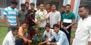 রাজারহাটে ছাত্র দলের বৃক্ষ রোপণ
