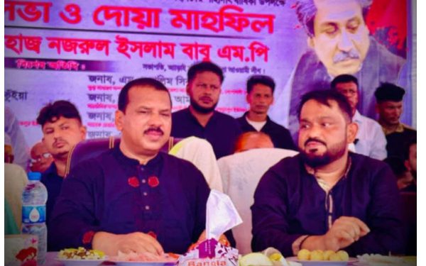 বিএনপির আশ্রয়ে দাপুটে অবস্থানে আওয়ামী লীগ নেতা ডালিম!