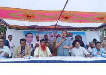 সোনারগাঁয়ে ভাষা সৈনিক ড.নুরুল হক ভুইঁয়ার স্মরণে সভা 