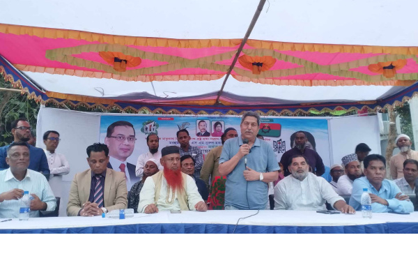 সোনারগাঁয়ে ভাষা সৈনিক ড.নুরুল হক ভুইঁয়ার স্মরণে সভা