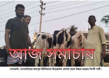 মুন্সিগঞ্জ থেকে ডাকাতি হওয়া গরু সোনারগাঁ থেকে উদ্ধার