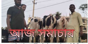 মুন্সিগঞ্জ থেকে ডাকাতি হওয়া গরু সোনারগাঁ থেকে উদ্ধার