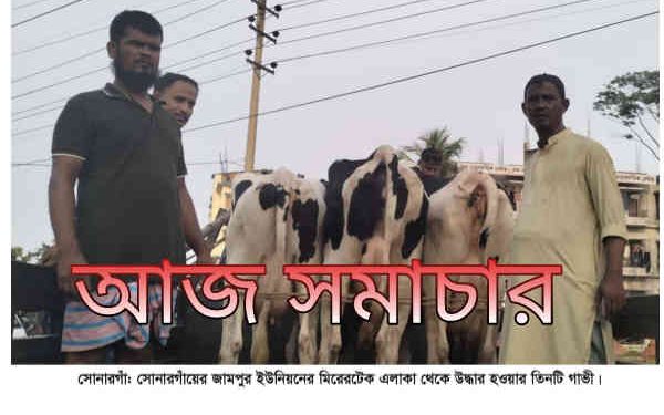 মুন্সিগঞ্জ থেকে ডাকাতি হওয়া গরু সোনারগাঁ থেকে উদ্ধার