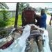 সোনারগাঁয়ে অজ্ঞাতনামা দুই যুবকের লাশ উদ্ধার