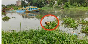 সোনারগাঁয়ে হাত-পা বাধা নারীর মরদেহ উদ্ধার