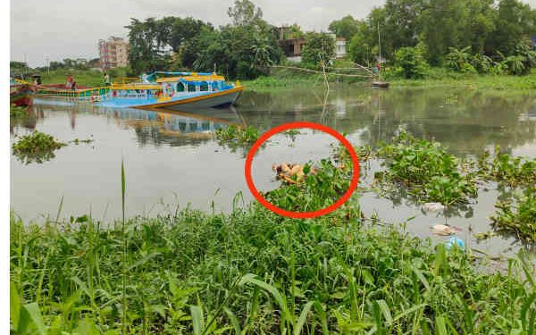 সোনারগাঁয়ে হাত-পা বাধা নারীর মরদেহ উদ্ধার