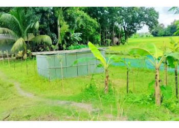 জামালপুরে জোরপূর্বক জমি দখলের পায়তারা