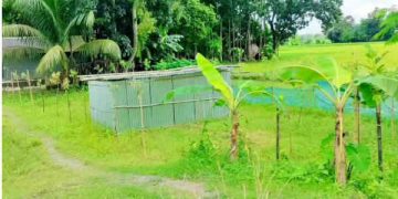 জামালপুরে জোরপূর্বক জমি দখলের পায়তারা