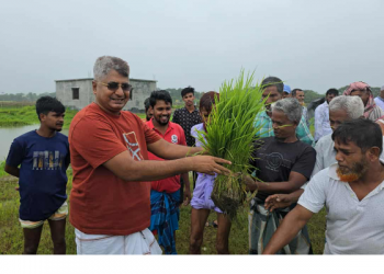 রূপগঞ্জে কৃষকদের মাঝে ধানের বীজ বিতরণ ও রোপণ