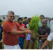 রূপগঞ্জে কৃষকদের মাঝে ধানের বীজ বিতরণ ও রোপণ