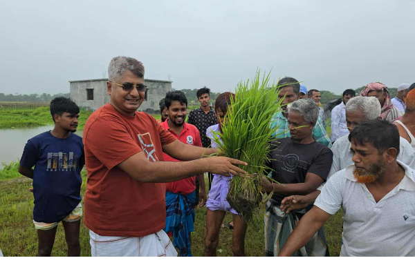 রূপগঞ্জে কৃষকদের মাঝে ধানের বীজ বিতরণ ও রোপণ
