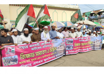সমুদ্রে ত্রানবাহী ফ্লোটিলার নৌবহর আটকের প্রতিবাদে সোনারগাঁয়ে বিক্ষোভ সমাবেশ