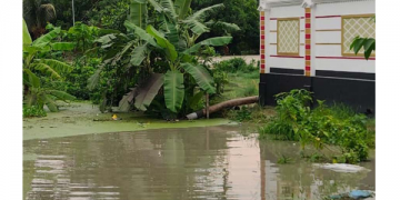 সোনারগাঁয়ে সরকারী জমিতে বালু ভরাট করে শ্রেণী পরিবর্তনের অভিযোগ