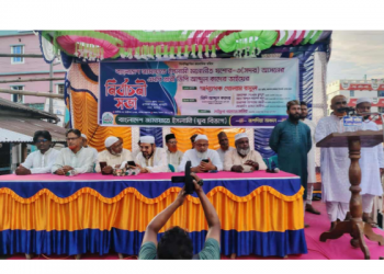 এই সরকারের স্বীকৃতির জন্য গণভোট হতে হবে–অধ্যাপক গোলাম রসুল