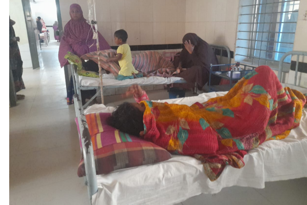 হাতীবান্ধায় আমন ধান কাটা নিয়ে সংঘর্ষে দুই নারী গুরুতর আহত