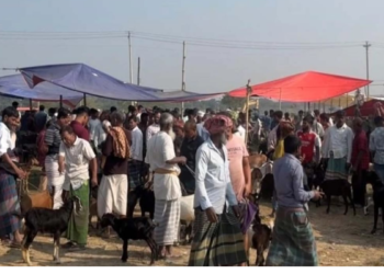 রূপগঞ্জে অবৈধ গরুর হাটের নিয়ন্ত্রণ নিতে বিএনপি দু’গ্রুপের সংঘর্ষ