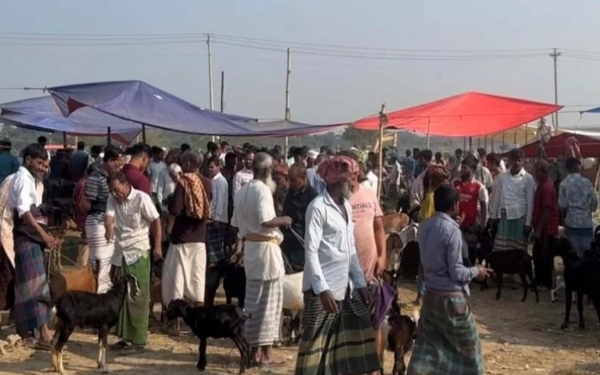 রূপগঞ্জে অবৈধ গরুর হাটের নিয়ন্ত্রণ নিতে বিএনপি দু’গ্রুপের সংঘর্ষ