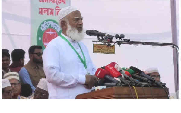 ডা. শফিকুর রহমানের নির্বাচনী প্রচারণায় জনতার ঢল