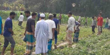 লালমনিরহাটে ভুট্টা ক্ষেত থেকে যুবকের মরদেহ উদ্ধার