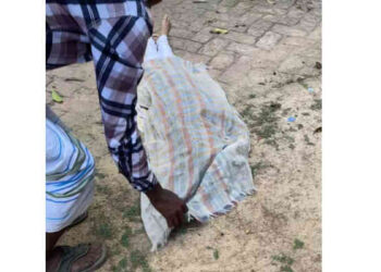 শাজাহানপুরে সড়ক দুর্ঘটনায় স্কুলছাত্রী তমার মর্মান্তিক মৃত্যু