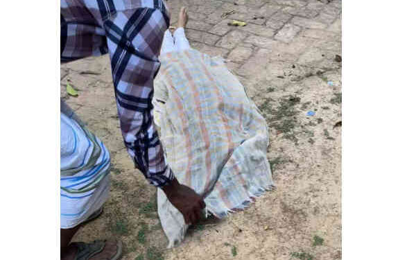 শাজাহানপুরে সড়ক দুর্ঘটনায় স্কুলছাত্রী তমার মর্মান্তিক মৃত্যু