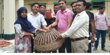 স্বাবলম্বী করতে ব্রাকের উদ্যোগে সদস্যদের মাঝে মুরগির বাচ্চা বিতরণ
