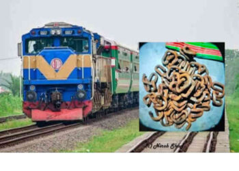 হাতীবান্ধায় রেললাইনের স্লিপার চুরি অল্পের জন্য বেঁচে গেলেন শত শত যাত্রী 